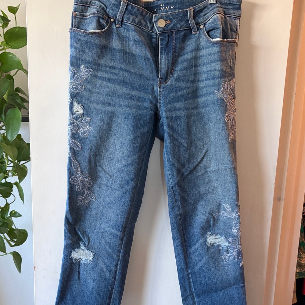 Stylish Blue Floral Embroidered Skinny Jeans